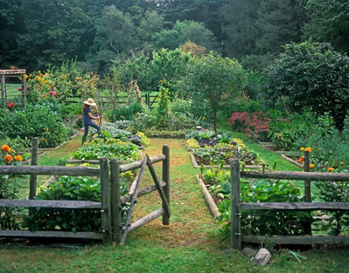 Vegetable Garden Makes Me Want a Fence • Clattr