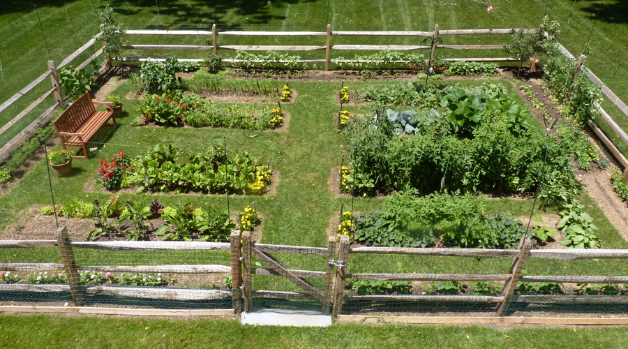 vegetable gardens r us bed construction we will design and build a vegetable garden for you to cul 1447559443lp48c